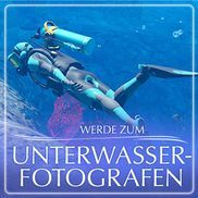 Werde zum Unterwasser-Fotografen
