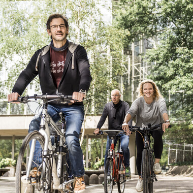 Mehrere Kollegen und Kolleginnen beim Fahrrad fahren Mehrere Kollegen und Kolleginnen fahren gemeinsam Fahrrad durch einen Wald.