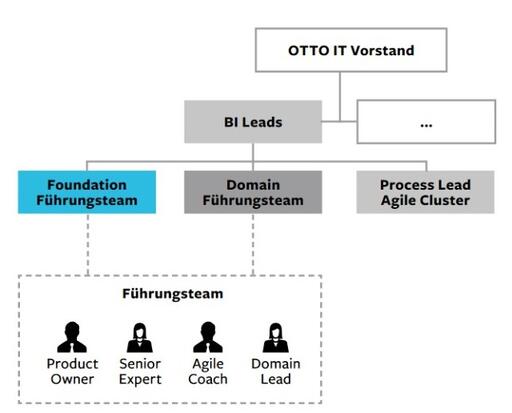 Figure 2: shared leadership in business intelligence