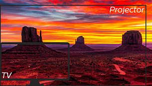 Bilder mit bis zu 80