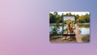 Suchen, was Sie sehen mit Google Lens​
