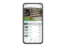 Blink-Abonnement: Cloud-Speicher