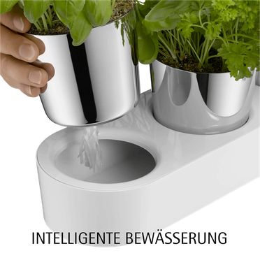 Gourmet Indoor Herb Garden, 3-piece set