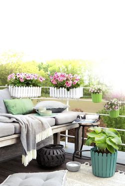 Emsa Blumenkasten Landhaus Kasten Seidengrau 50 cm, Robust und  witterungsbestndig
