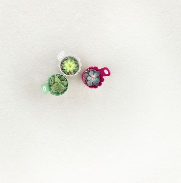 LANDHAUS MINI FÄSSCHEN