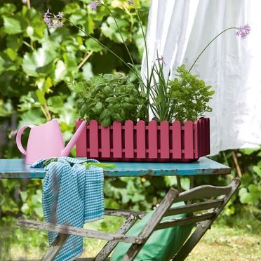 Emsa Blumenkasten LANDHAUS Blumenkasten Rotviolett 50 cm, Pflanzkasten