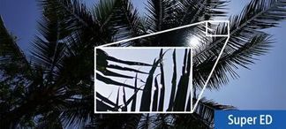 Natürliche Farbwiedergabe