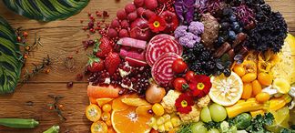 Kompaktes, robuster Standard-Objektiv