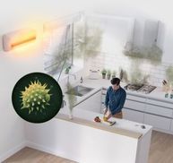 Reduziert die Pollenbelastung in der Luft