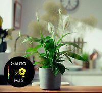 Allergene wie Pollen