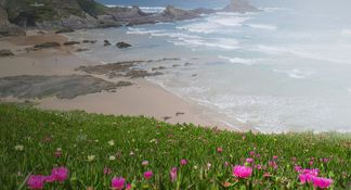 iA-Modus (Intelligente Automatik) – Einfach bedienbar