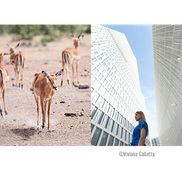 Erkennung von Menschen/Tieren/Autos/Motorrädern