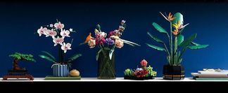 Von der Natur inspiriert. Von LEGO® Fans gebaut.