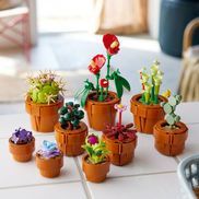 Eine LEGO® Geschenkidee für Pflanzenliebhaber