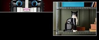 Geschenk für erwachsene Katzen- und Tierfans