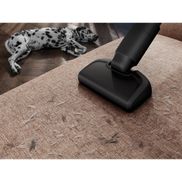 Gründliche Tiefenreinigung von Polstern und Matratzen