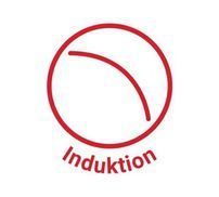 Induktion 