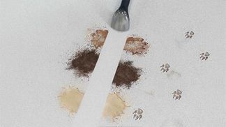 Ideal für jeden Haushalt