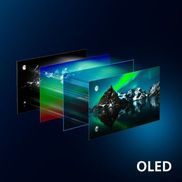 Detail und Tiefe. Lebensechte OLED-Bilder.