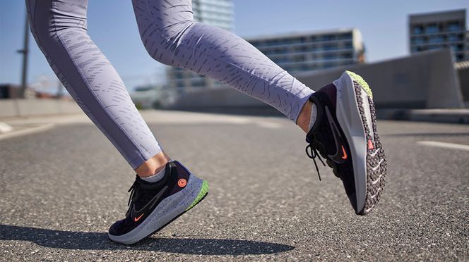 nike winflo 8 shield