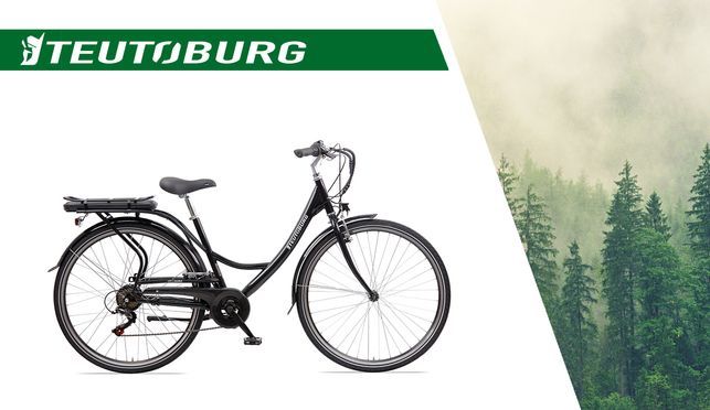 Teutoburg Senne - City Electric Bicycle