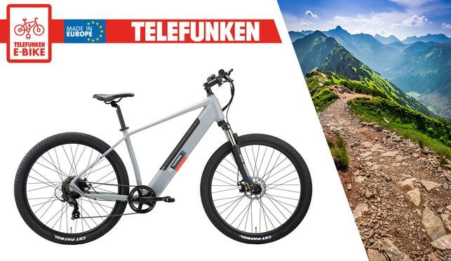 Telefunken Pedelec Aufsteiger M921 - sportliches E-Mountainbike, 29 Zoll