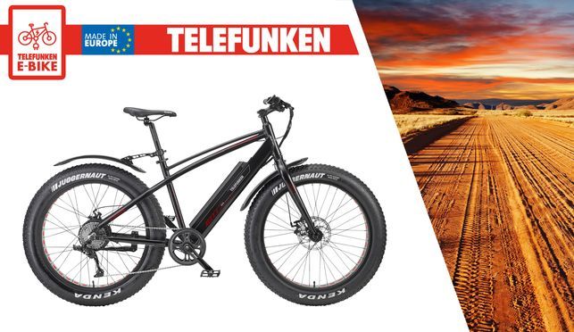 Telefunken Aufsteiger FM350 - E-Mountainbike / Fatbike