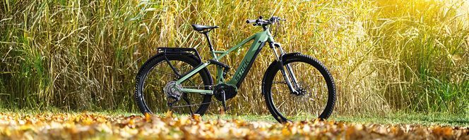 Abenteuerlust neu definiert: Die Prophete Stack E-Bikes