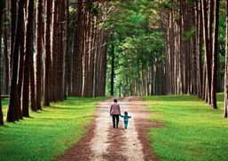 Zertifizierte Holzprodukte