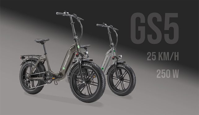 GreenStreet E-Bike low entry folding bike GS5, 250 W, 20 inches