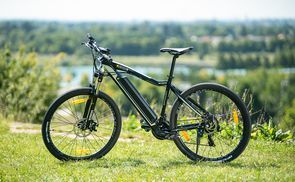 Zündapp Z801 E Mountainbike