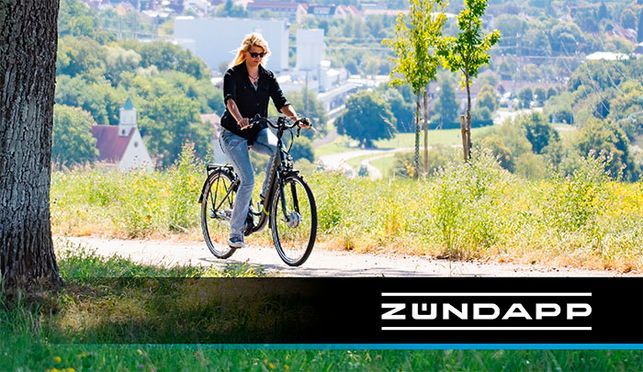damen e-mountainbikes ZÜNDAPP Z808 29