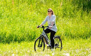 Dynamischer Elektroantrieb