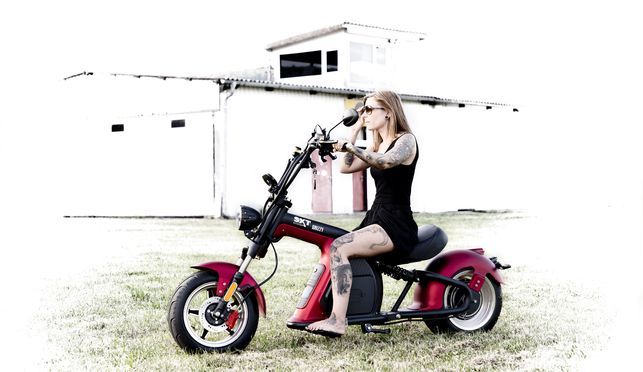 „Born to be wild“ passt wohl wenn, dann am Besten zu unserem Schlachtschiff SXT Grizzy