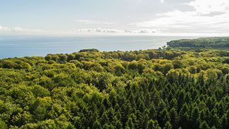 Nachhatligkeit - made to last