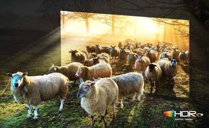 Für ein eindrucksvolles 8K-Seherlebnis