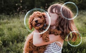 Erlebe Inhalte in 4K-Qualität