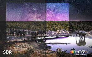 Erlebe 4K mit intensiven Farben und feinen Details