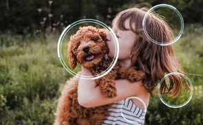 Genieße Inhalte in 4K durch das Upscaling