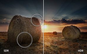 Filmreife Bilder dank satter Kontraste