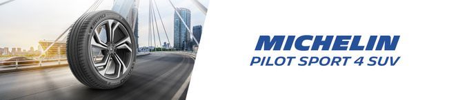 Michelin Sommerreifen Pilot Sport 4, 1-St., 255/50 R20 109Y