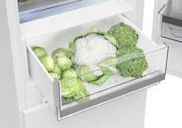 GORENJE Kühlschrank R4142PS, 143,4 cm hoch, 55 cm breit, Rauminhalt Gesamt:  242 Liter