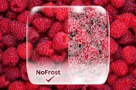 NoFrost Plus