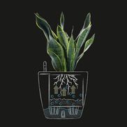 LECHUZA Bewässerungssystem