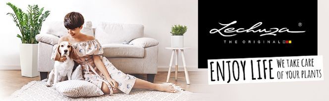 CANTO Stone 30 low steingrau