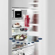 Liebherr Kühlschrank Rsfe 5020-20, 165,5 cm hoch, 59,7 cm breit, mit  EasyFresh
