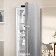 Liebherr Kühlschrank RBsdd 5250-20, 185,5 cm hoch, 59,7 cm breit, mit  BioFresh