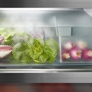 Liebherr Kühlschrank ohne Gefrierfach RBstd 528i-20 Peak BioFresh