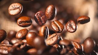 Für extrastarken Kaffee und ausgezeichnetes Aroma