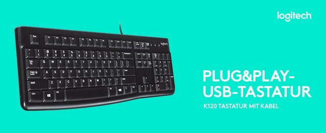 Logitech K120 Kabelgebundene Tastatur, USB, Leises Tippen, Spritzwassergeschützt, QWERTZ Weiß